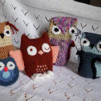 Chouettes