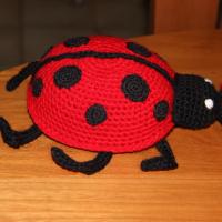 Coccinelle