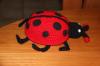 Coccinelle