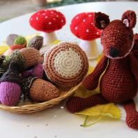 Champignons et glands