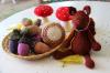 Champignons et glands