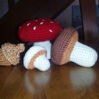 Champignons et gland 1