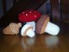 Champignons et gland 1